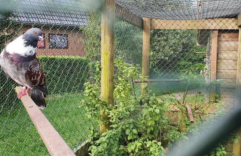 20210602080625 kopie